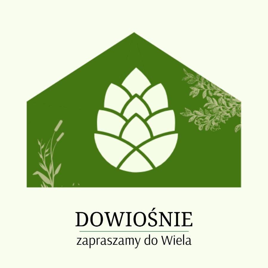 Апартаменти Dowiosnie - Domek W Wielu В'єлє Екстер'єр фото